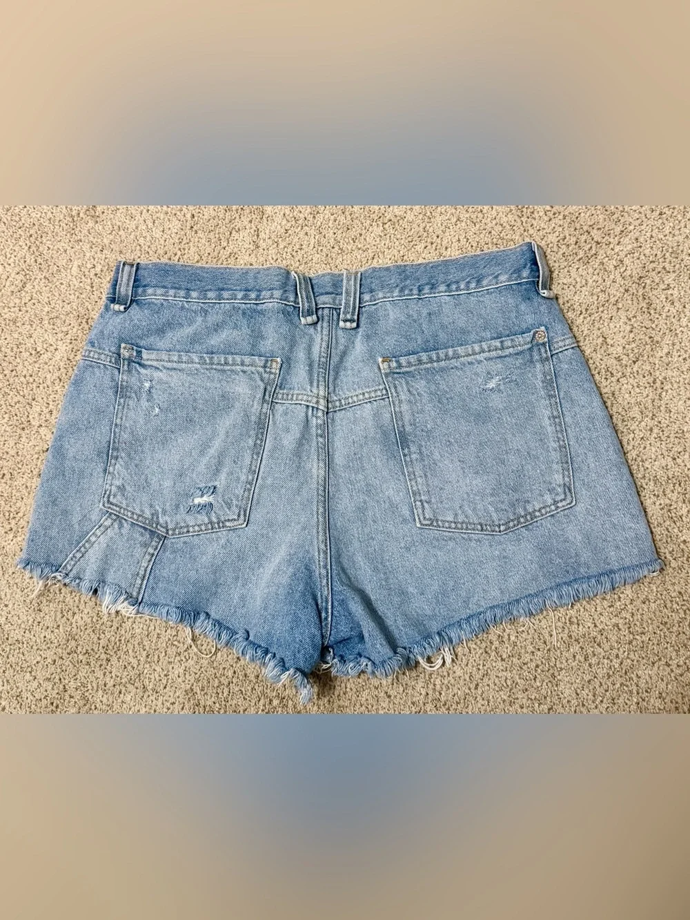 We The Free Now or Never Denim Shorts